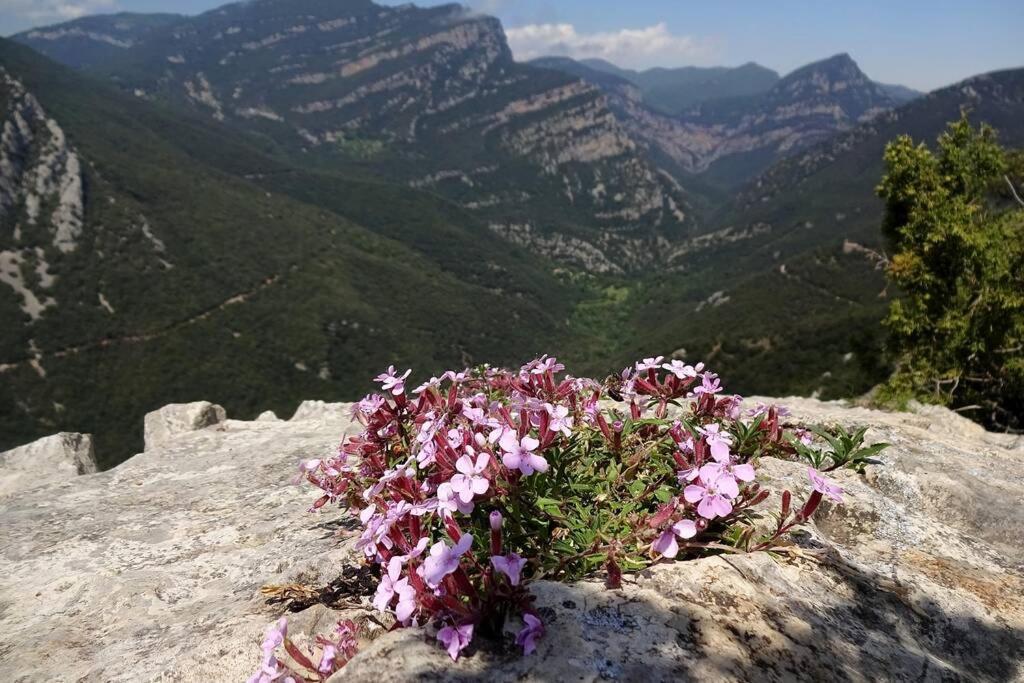 Pont De Valenti Mountain Retreat Lägenhet Girona Exteriör bild