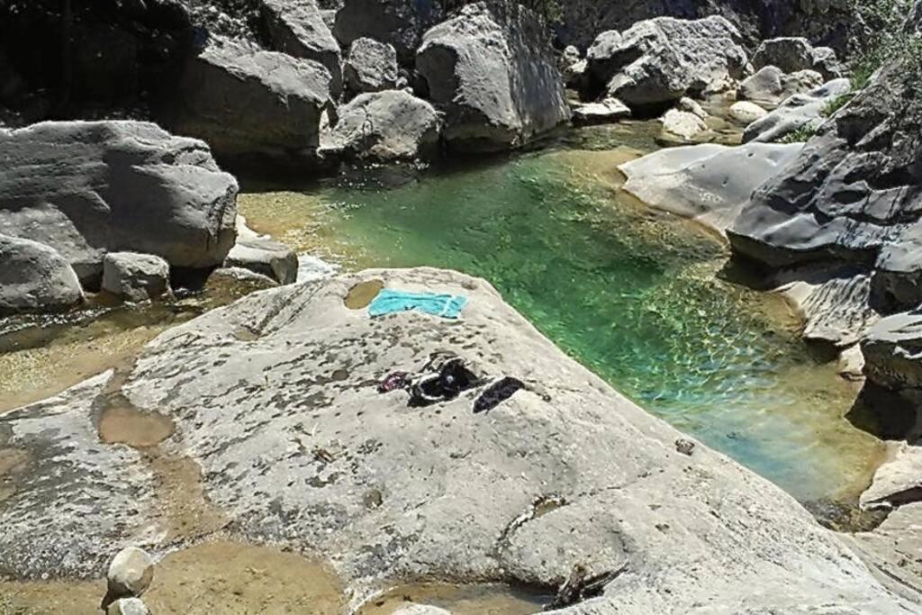 Pont De Valenti Mountain Retreat Lägenhet Girona Exteriör bild