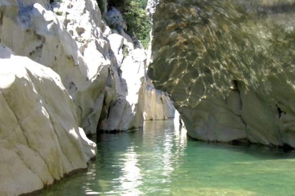 Pont De Valenti Mountain Retreat Lägenhet Girona Exteriör bild