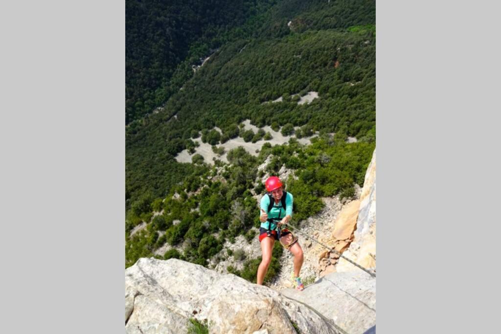 Pont De Valenti Mountain Retreat Lägenhet Girona Exteriör bild