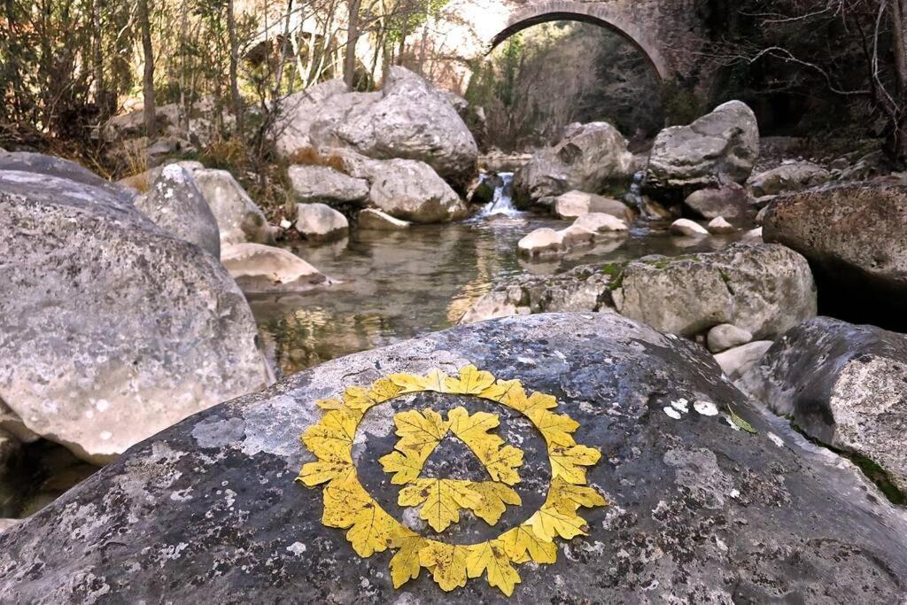 Pont De Valenti Mountain Retreat Lägenhet Girona Exteriör bild