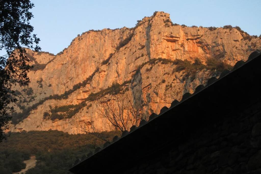 Pont De Valenti Mountain Retreat Lägenhet Girona Exteriör bild